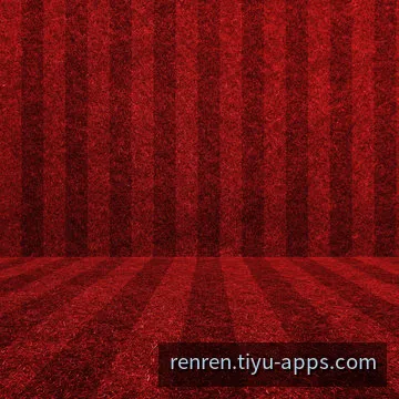 移动端安装过程演示与设置示例